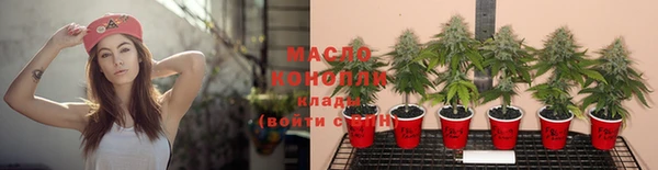 ПСИЛОЦИБИНОВЫЕ ГРИБЫ Арсеньев