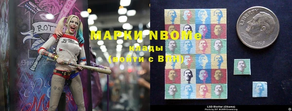 ПСИЛОЦИБИНОВЫЕ ГРИБЫ Арсеньев