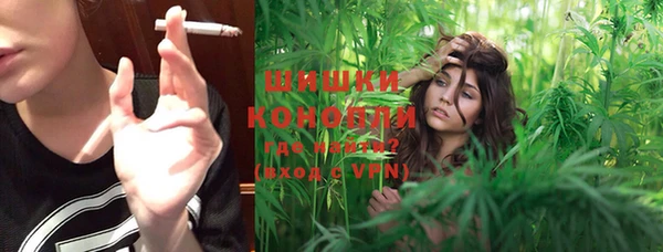 ПСИЛОЦИБИНОВЫЕ ГРИБЫ Арсеньев