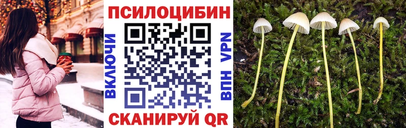 мориарти состав  Североуральск  Галлюциногенные грибы прущие грибы  где найти  